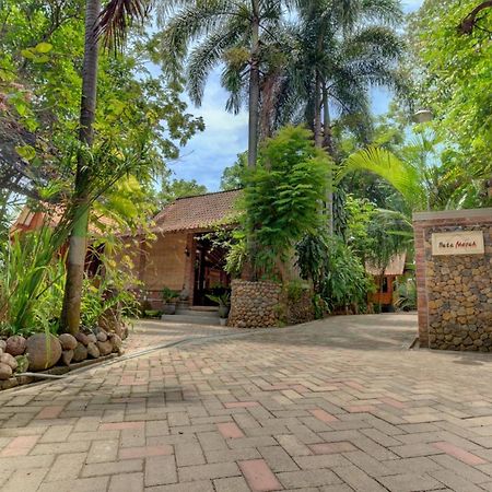 Bata Merah Homestay Баньюванги Экстерьер фото