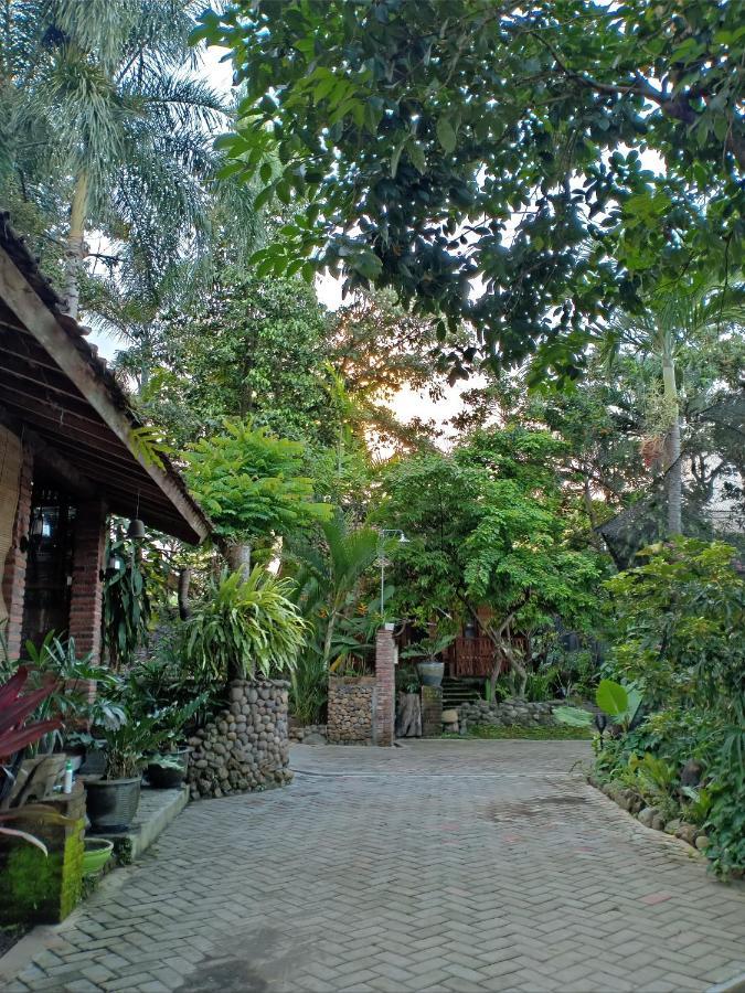 Bata Merah Homestay Баньюванги Экстерьер фото