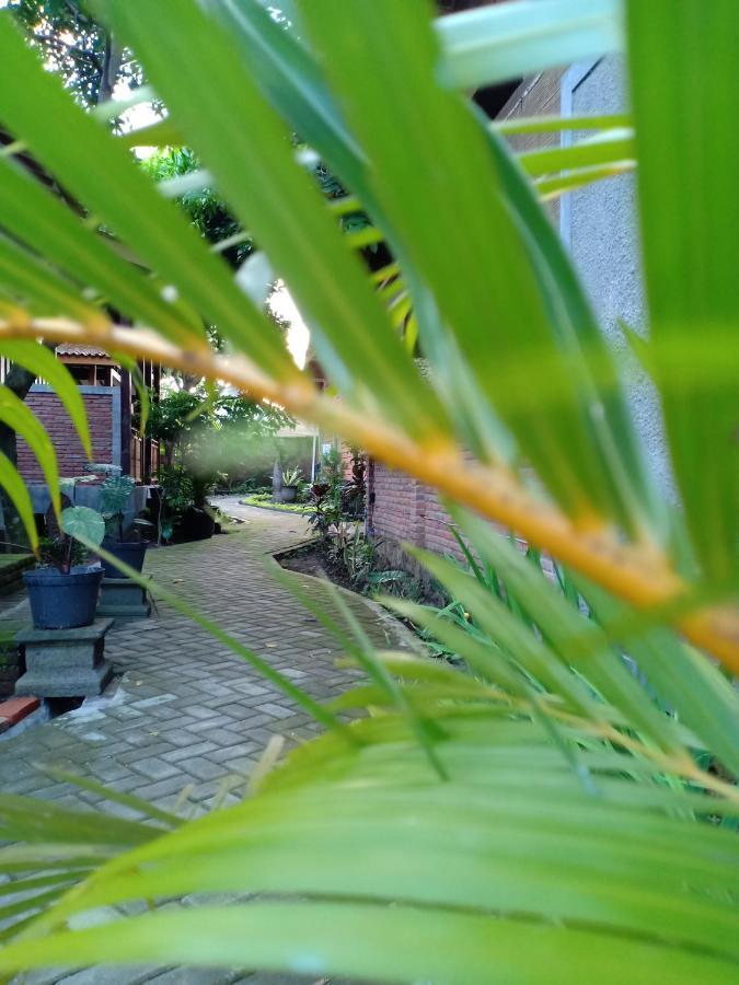 Bata Merah Homestay Баньюванги Экстерьер фото