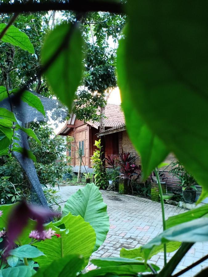 Bata Merah Homestay Баньюванги Экстерьер фото