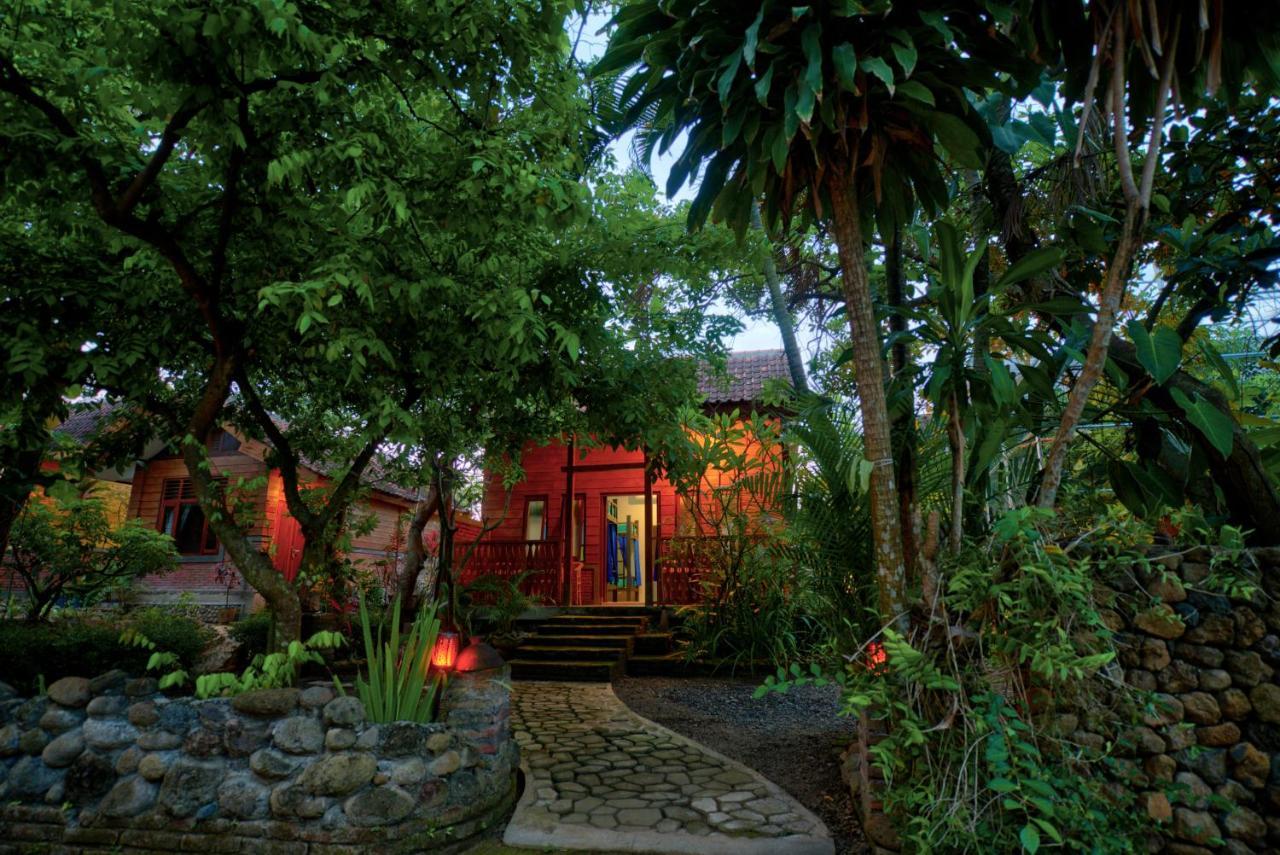 Bata Merah Homestay Баньюванги Экстерьер фото