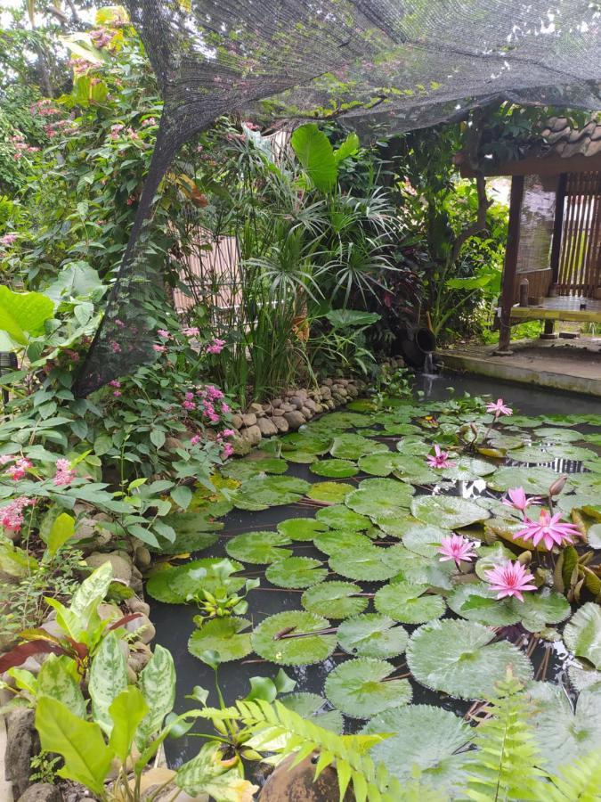 Bata Merah Homestay Баньюванги Экстерьер фото