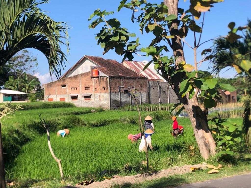 Bata Merah Homestay Баньюванги Экстерьер фото